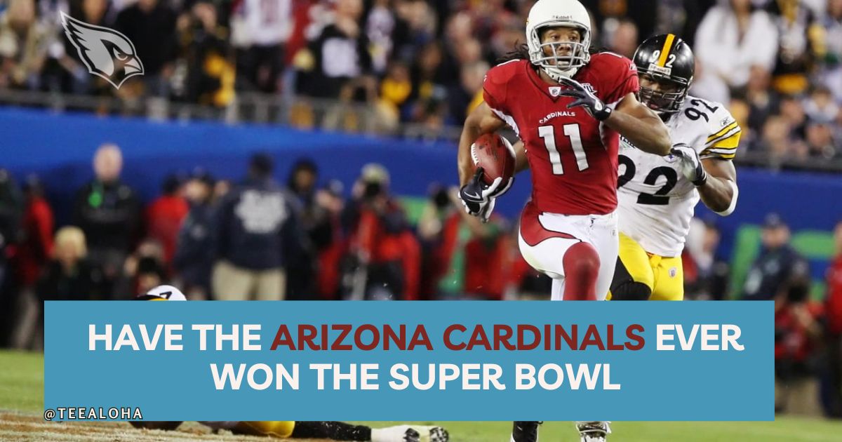 Have The Arizona Cardinals Ever Won The Super Bowl - TeeAloha